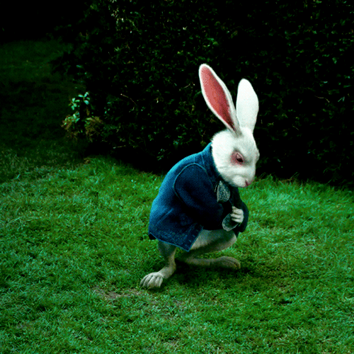 giphy (1)