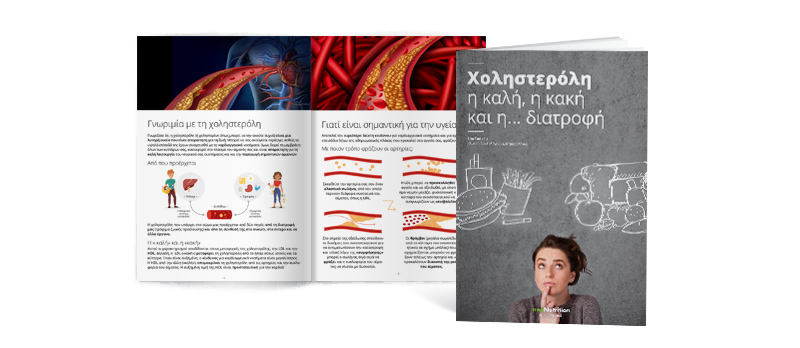 landing page sta metra sas5