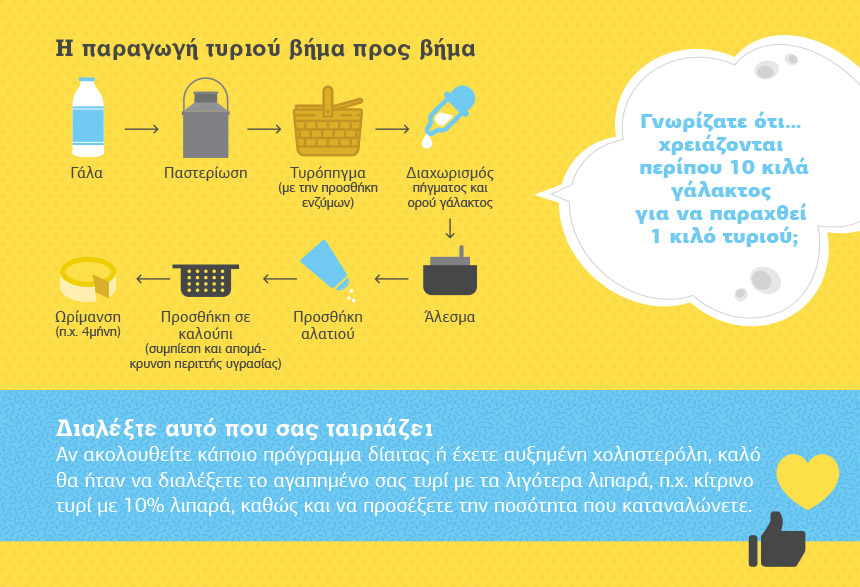 say cheese infographic hub